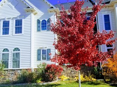 42619 Kellamugh Ter, Chantilly, VA, 20152