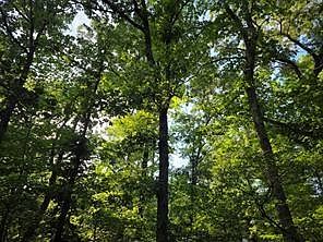 1st image of 0 Timber Rdg