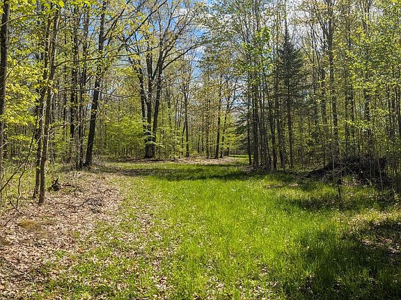 5th image of 0 Spring Rd