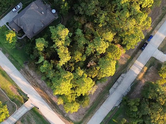 5th image of 11015 Branch Creek Court