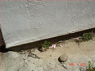 5th image of 977 Chapel Hill Way
