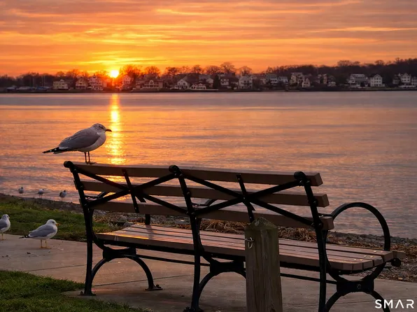 24 Woodward Avenue APT 46, New Haven, CT 06512