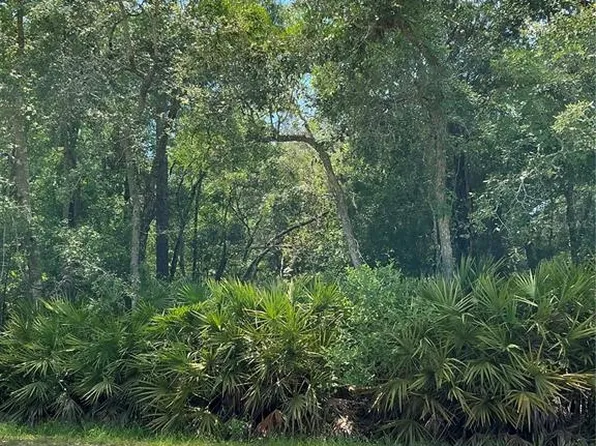 LOT 15 NW 118th Ter Lot 15, Ocala, FL 34482