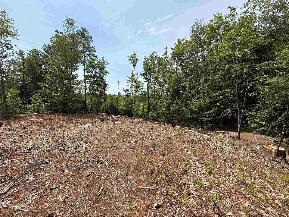 2nd image of 51 Pineridge Road