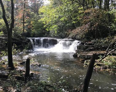 218 County Road 938, Higdon, AL, 35979