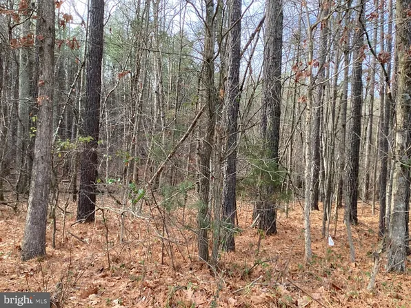 Shenandoah Path, Catlett, VA 20119