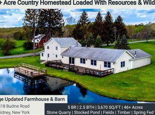 518 Budine Rd, Sidney Center, NY 13839