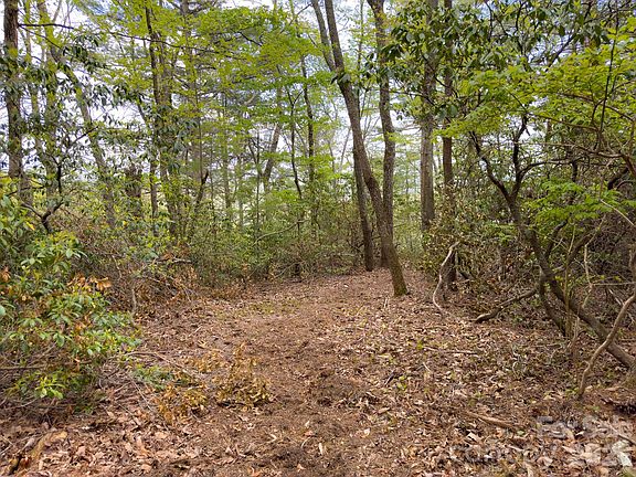 5th image of Pine Point Rd