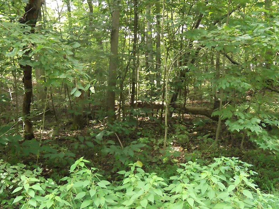 1st image of Deer Creek Trl
