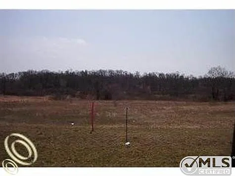9525 Iosco Ridge Dr photo 1