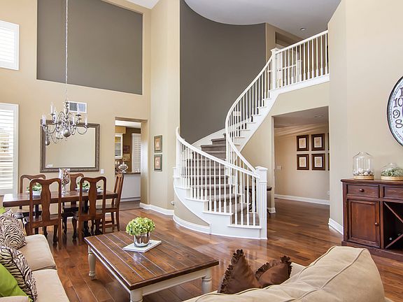 Living / Dining Room