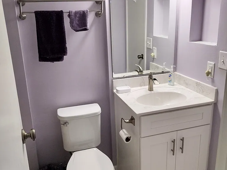 Guest bathroom