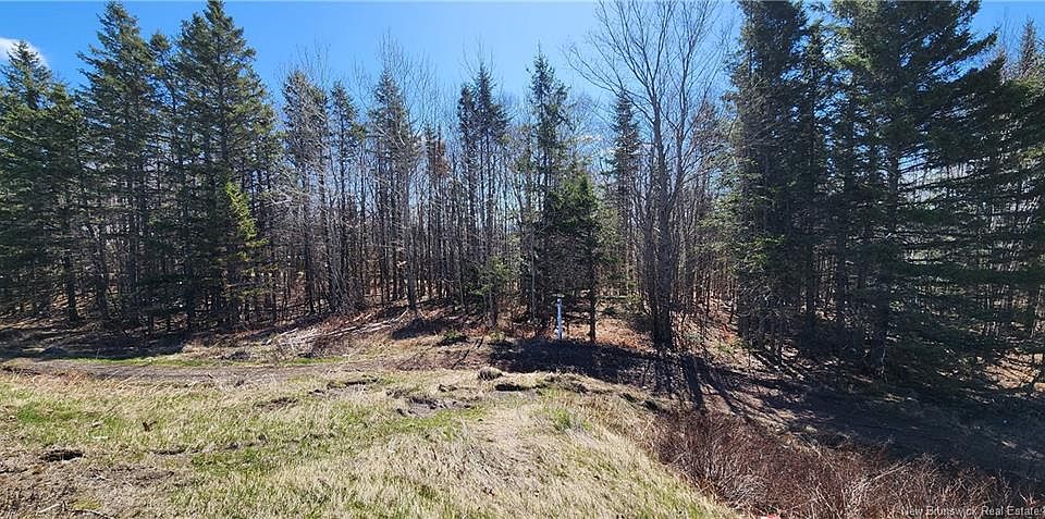 1st image of 47960 Homestead Rd