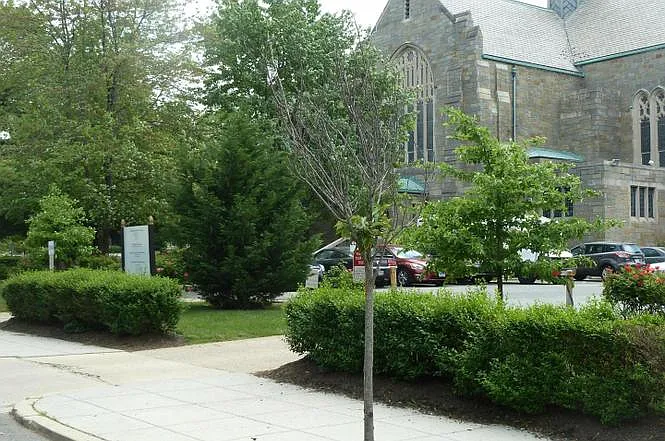 509 Webster St NW — Photo 28