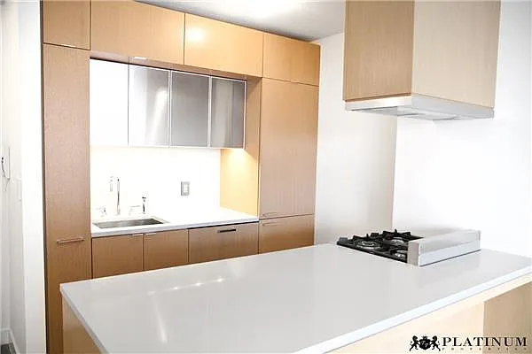 Rented by Platinum Properties | media 36