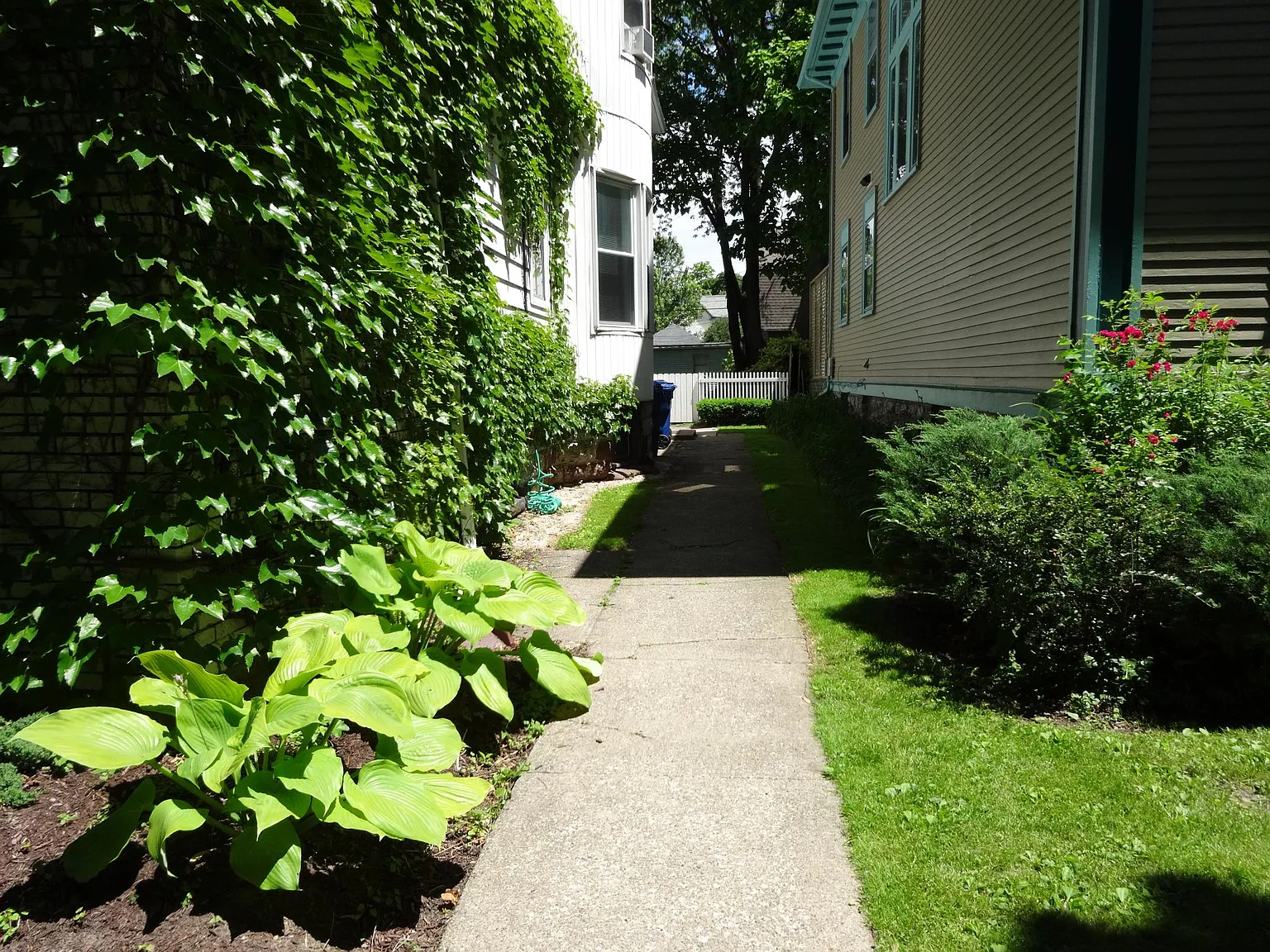 2 bed, 1.5 bath, 950 sqft, $1,600 — Photo 2