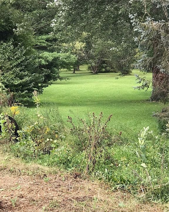 1st image of Pilot Knob Ave NE