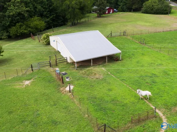 PARCEL 2A County Road 4203, Crane Hill, AL 35053