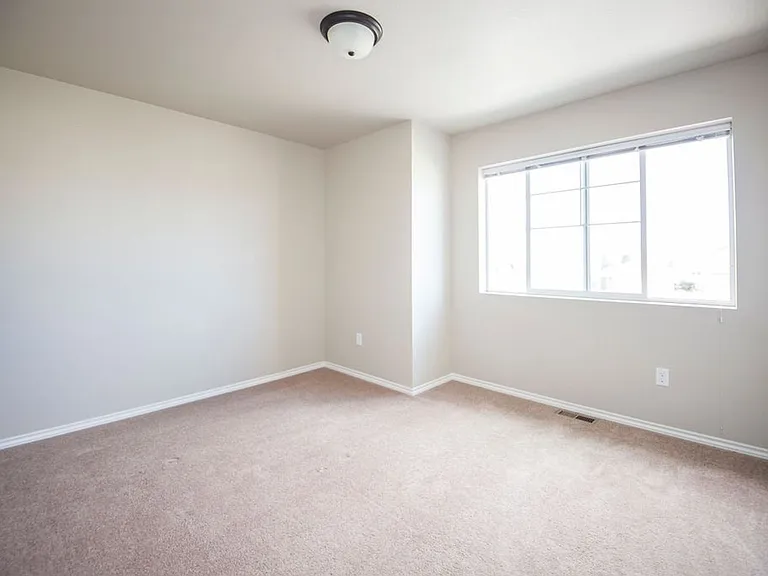532 Walhalla Ct — Photo 8