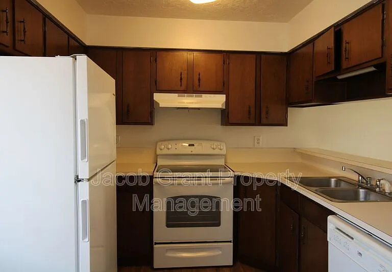 731 N Fanning Ave #733 — Photo 3