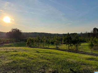 247 Rocky Ridge Rd #7, Columbiana, AL 35051