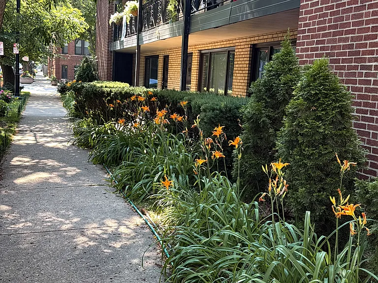 40 Harrison St #4 — Photo 4