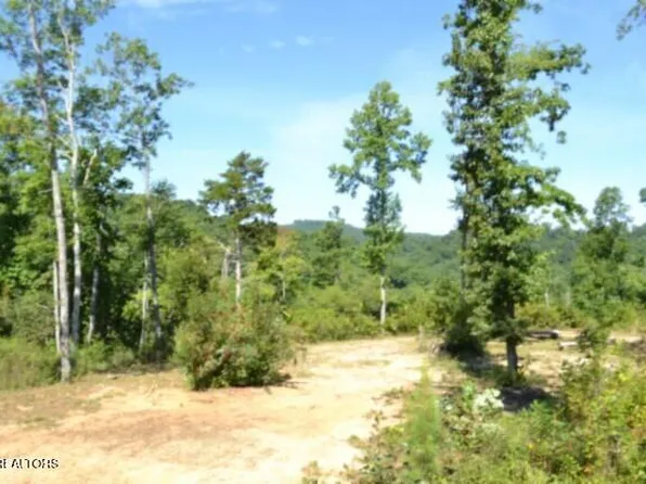 Rock Springs Rd, Celina, TN 38551