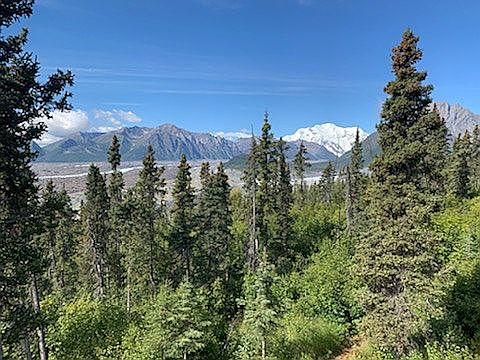 2nd image of Bonanza Unit Kennicott Subdivision Lot 108