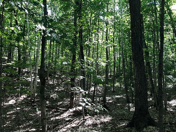 3rd image of 1420 County Road 492