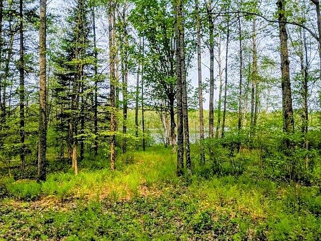 2nd image of 7 Pixley Wilderness Shores Rd