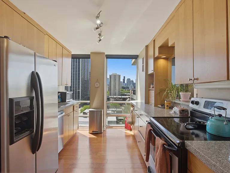 1660 N La Salle Dr #902 — Photo 10