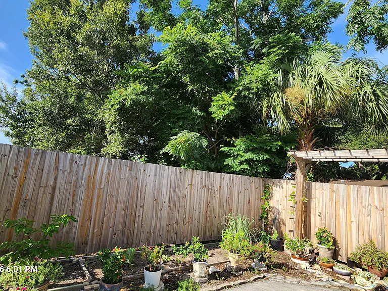 Private backyard