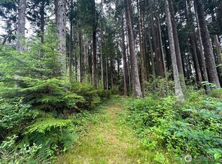 44 Robin Lane, Pacific Beach, WA 98571