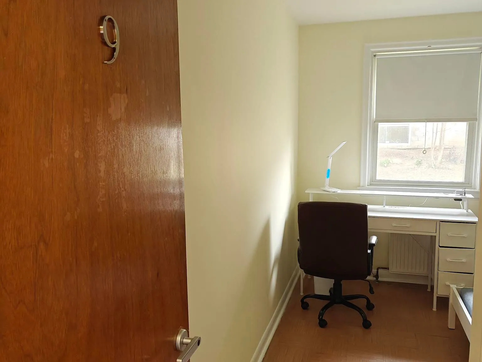 1 bed, $750 — Photo 3
