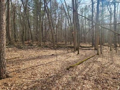  South BADGER LANE #17, Arkdale, WI, 54613
