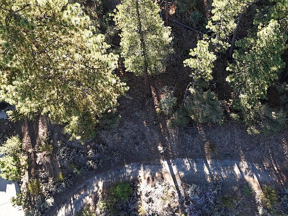 4th image of 2000 Ironwood Dr