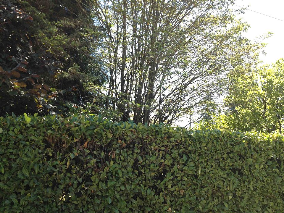 2nd image of 9700 15th Ave NE