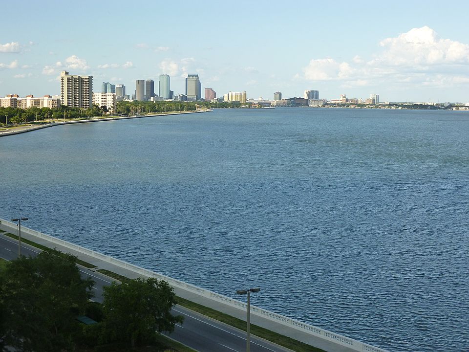 Views of downtown Tampa