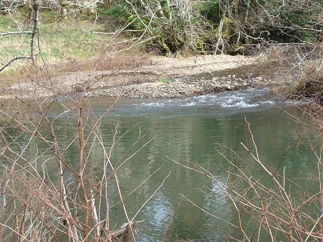 1st image of 43365 Little Nestucca Hwy
