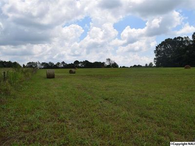 Morris Rd, Toney, AL, 35773
