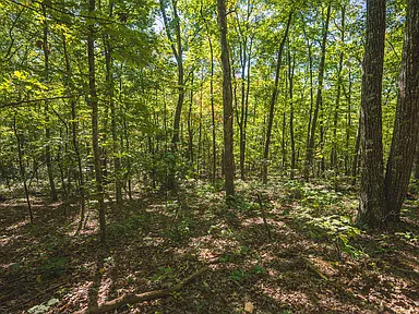 Property photo 35