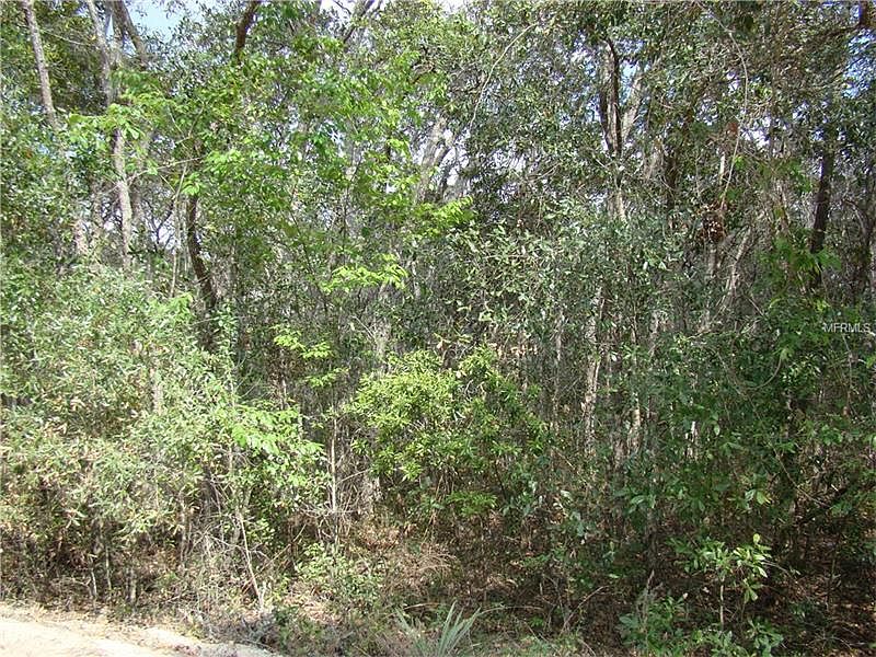 2nd image of Cassadaga Rd
