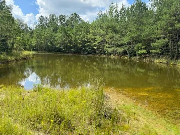 273 Edgar Holmes Rd, Tylertown, MS 39667