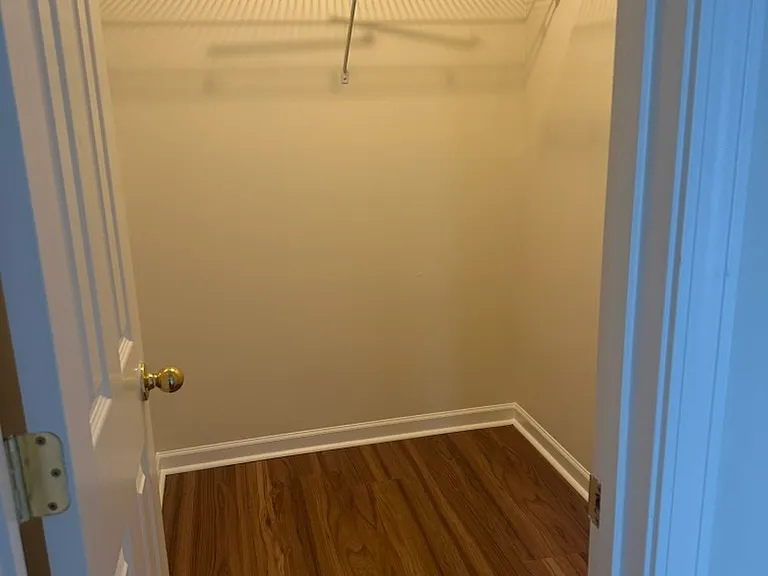 Bedroom 3 closet (walk-in)