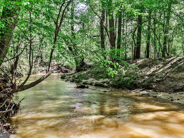 0 Kemp Rd, Buena Vista, GA 31803