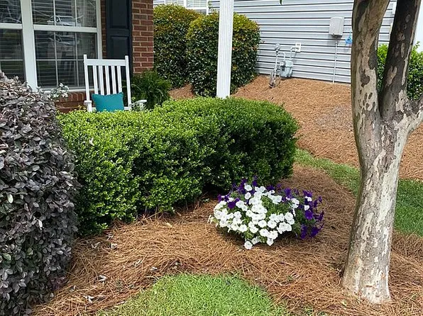 202 Courtside Dr, Lexington, SC 29073