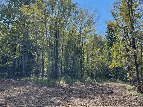 Highway 53 Burkesville Hwy, Celina, TN 38551