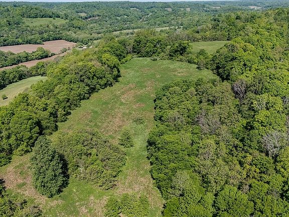42nd image of 7480 Beech Hill Rd