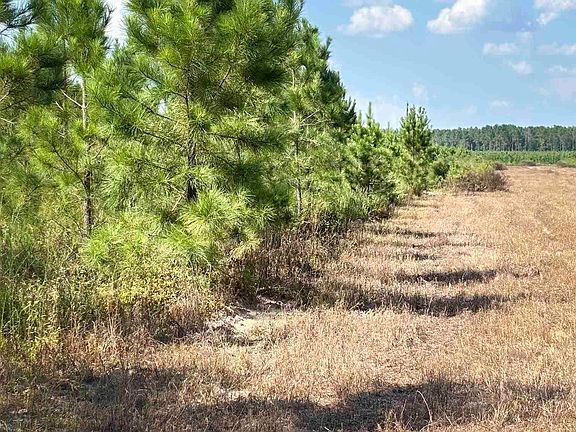 4th image of LOT 74 Posie Forest Rd