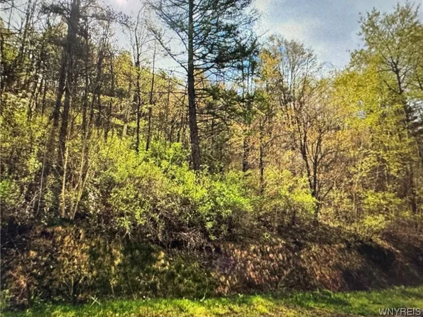 Skyline Dr #5, Delevan, NY 14042
